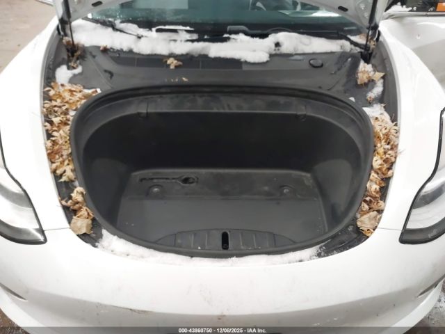 2019 TESLA MODEL 3 5YJ3E1EB4KF391219 Photo 9