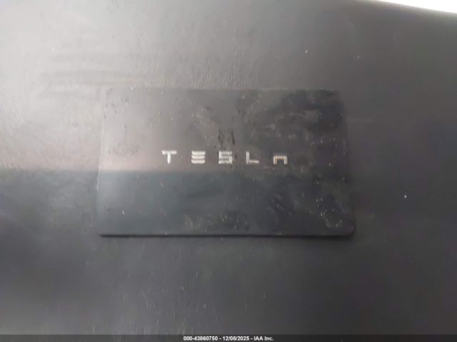 2019 TESLA MODEL 3 5YJ3E1EB4KF391219 Photo 10