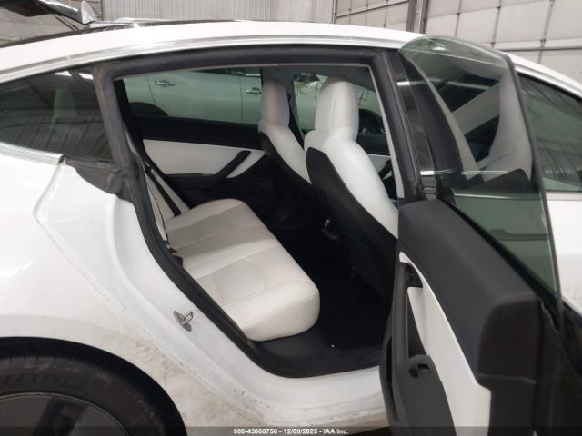 2019 TESLA MODEL 3 5YJ3E1EB4KF391219 Photo 7