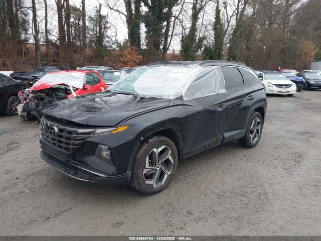 2024 HYUNDAI TUCSON 5NMJECDE5RH410299 Photo 1