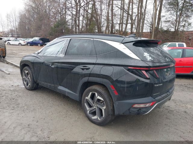 2024 HYUNDAI TUCSON 5NMJECDE5RH410299 Photo 2