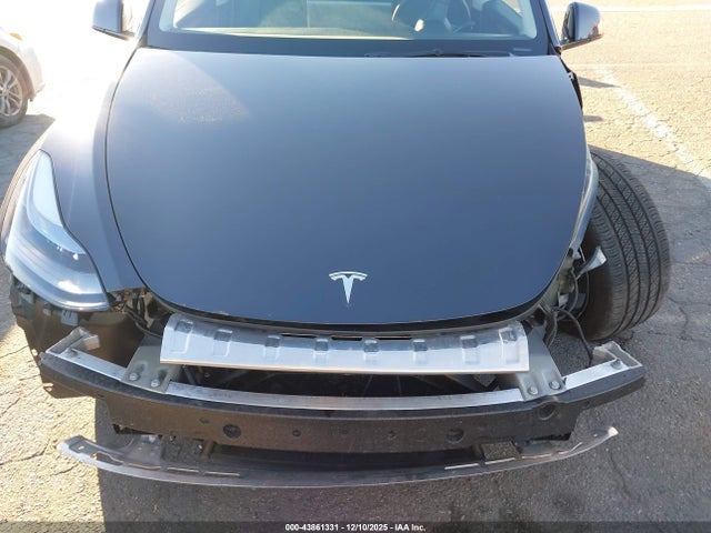 2025 TESLA MODEL Y 7SAYGDED6SF265062 Photo 5