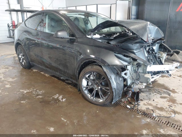 2025 TESLA MODEL Y 7SAYGDEE8SF286147 Photo 0