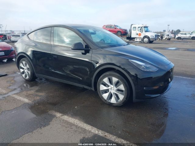 2024 TESLA MODEL Y 7SAYGDEEXRF024334