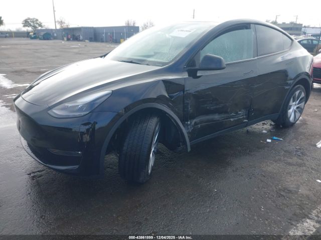 2024 TESLA MODEL Y 7SAYGDEEXRF024334 Photo 1