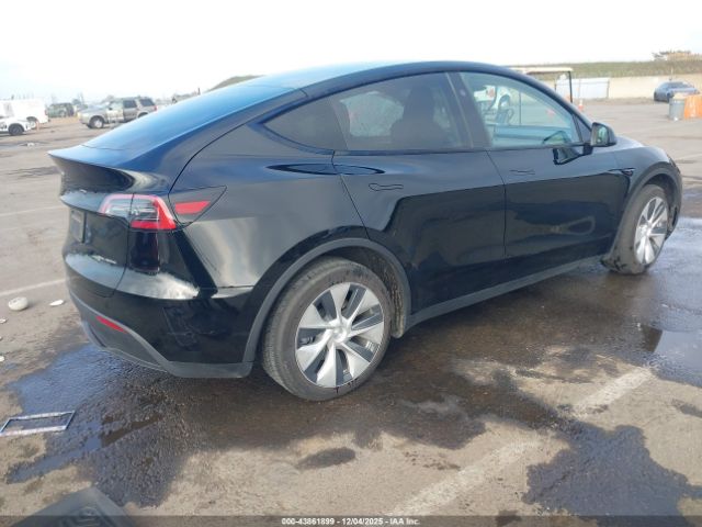 2024 TESLA MODEL Y 7SAYGDEEXRF024334 Photo 3