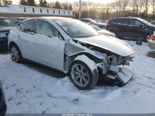 2023 TESLA MODEL Y 7SAYGDEE8PF799423 Photo 0