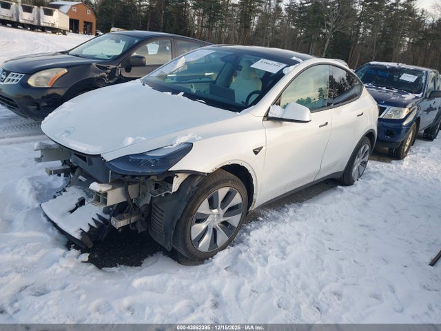 2023 TESLA MODEL Y 7SAYGDEE8PF799423 Photo 1