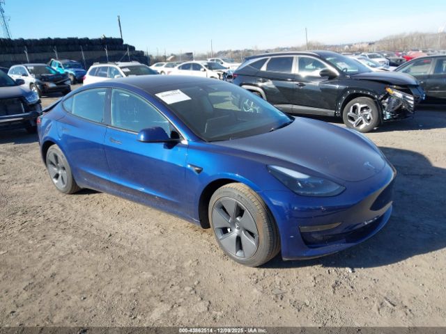 2023 TESLA MODEL 3 5YJ3E1EA6PF699412