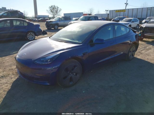 2023 TESLA MODEL 3 5YJ3E1EA6PF699412 Photo 1