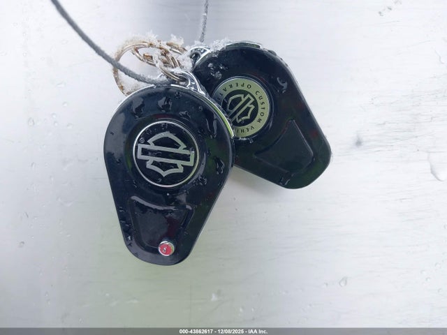 2016 HARLEY-DAVIDSON FXSE 1HD1TG925GB962591 Photo 10