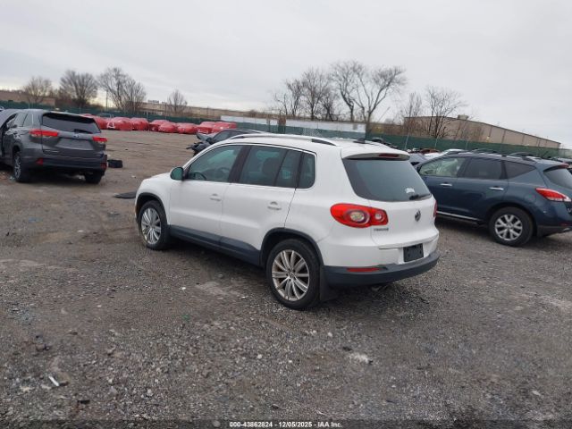 2011 VOLKSWAGEN TIGUAN WVGBV7AX9BW511586 Photo 2