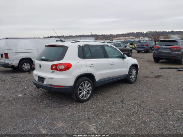 2011 VOLKSWAGEN TIGUAN WVGBV7AX9BW511586 Photo 3