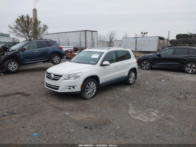 2011 VOLKSWAGEN TIGUAN WVGBV7AX9BW511586 Photo 5