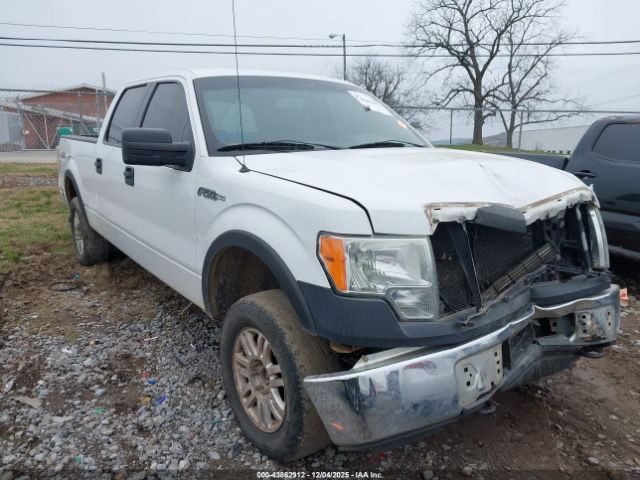 2014 FORD F-150 1FTFW1EF2EFB86513