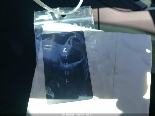 2025 TESLA MODEL 3 5YJ3E1EA8SF046427 Photo 10