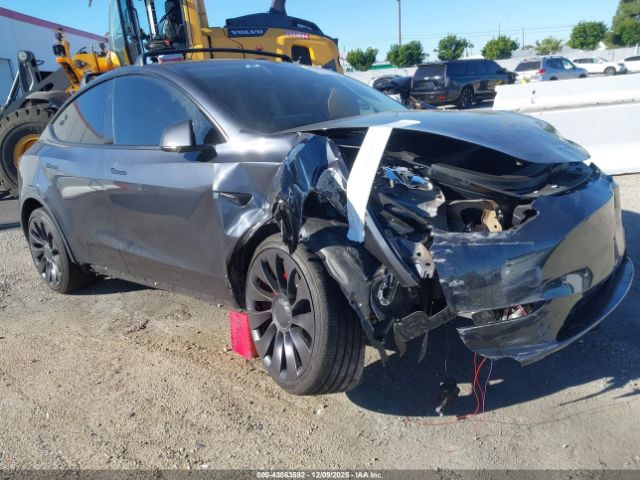 2024 TESLA MODEL Y 7SAYGDEFXRF161489