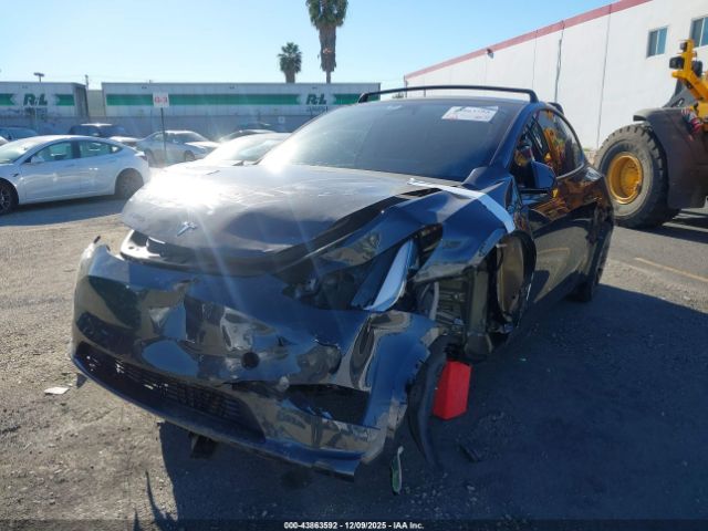 2024 TESLA MODEL Y 7SAYGDEFXRF161489 Photo 1