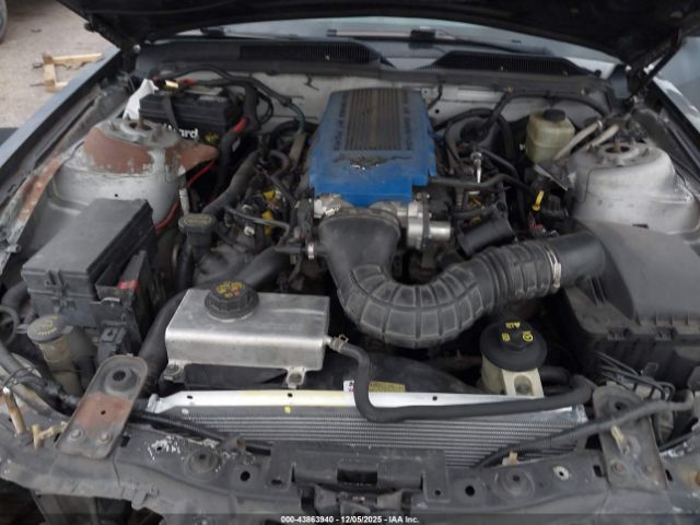 2005 FORD MUSTANG 1ZVFT82H155169020 Photo 9