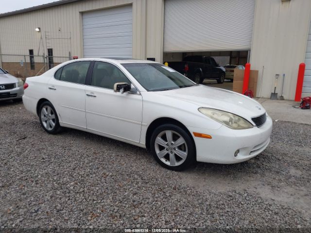 2005 LEXUS ES 330 JTHBA30GX55065094
