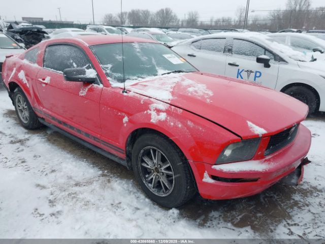 2008 FORD MUSTANG 1ZVHT80N285109219