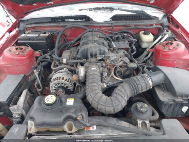 2008 FORD MUSTANG 1ZVHT80N285109219 Photo 9