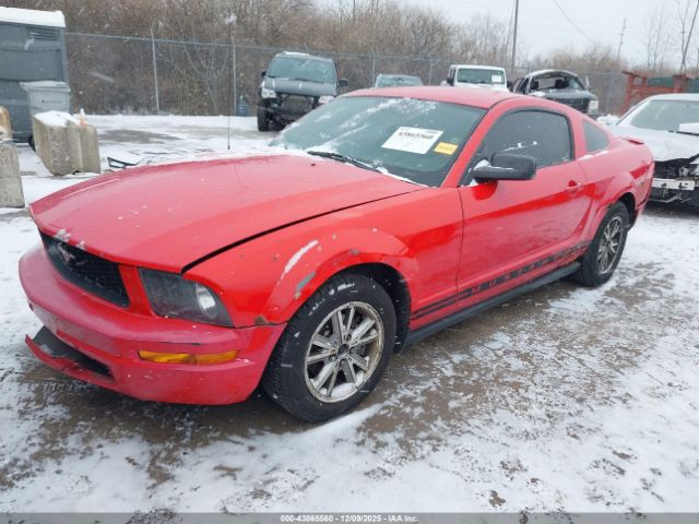 2008 FORD MUSTANG 1ZVHT80N285109219 Photo 1
