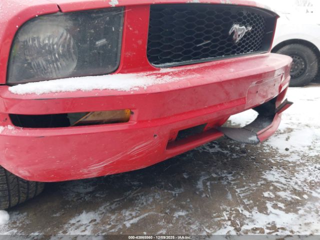 2008 FORD MUSTANG 1ZVHT80N285109219 Photo 5