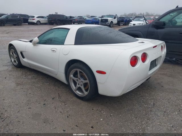 2002 CHEVROLET CORVETTE 1G1YY22G825122010 Photo 2