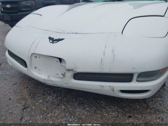 2002 CHEVROLET CORVETTE 1G1YY22G825122010 Photo 5