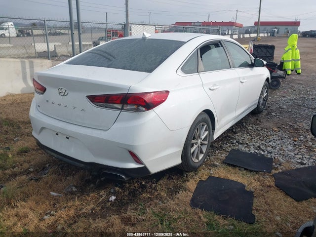 5NPE24AF2JH623859 Hyundai SONATA SE