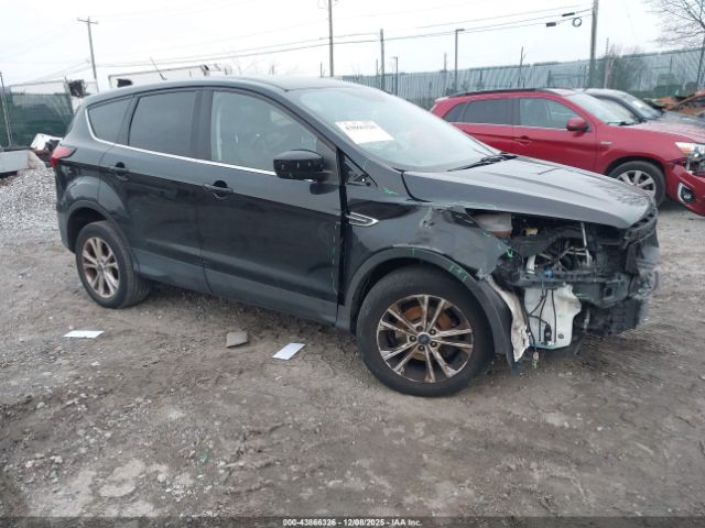 2019 FORD ESCAPE 1FMCU0GD8KUC06488