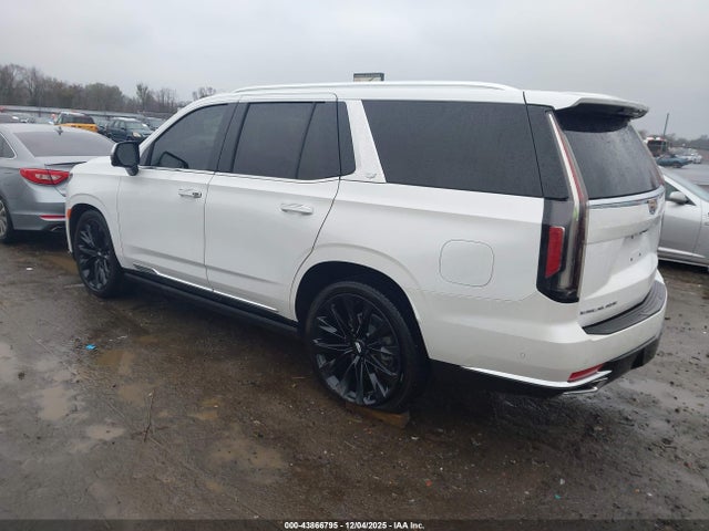 2024 CADILLAC ESCALADE 1GYS4CKL5RR142577 Photo 2