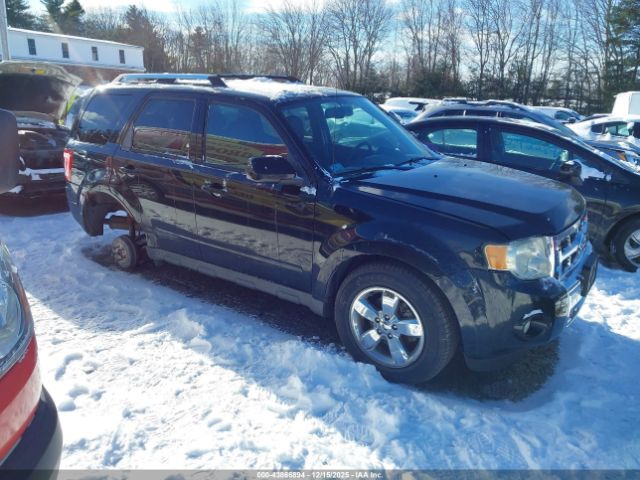 2009 FORD ESCAPE 1FMCU94G39KA50918