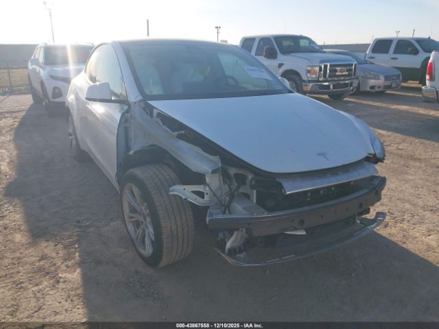 2021 TESLA MODEL Y 5YJYGDEE0MF305337