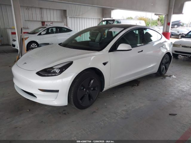 2021 TESLA MODEL 3 5YJ3E1EA1MF977497 Photo 1