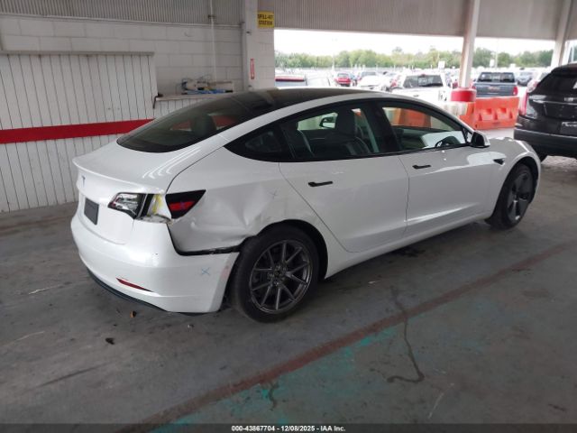 2021 TESLA MODEL 3 5YJ3E1EA1MF977497 Photo 3