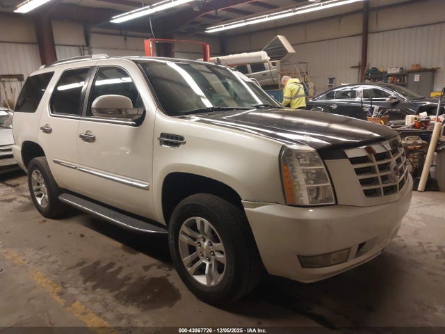 2010 CADILLAC ESCALADE 1GYUKBEF3AR181607 Photo 0
