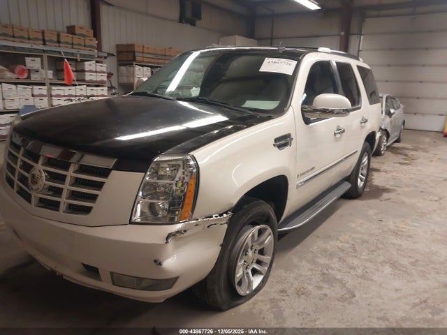 2010 CADILLAC ESCALADE 1GYUKBEF3AR181607 Photo 1