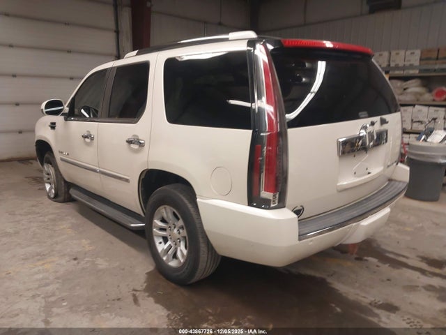 2010 CADILLAC ESCALADE 1GYUKBEF3AR181607 Photo 2
