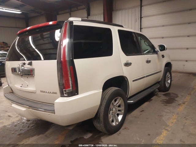 2010 CADILLAC ESCALADE 1GYUKBEF3AR181607 Photo 3