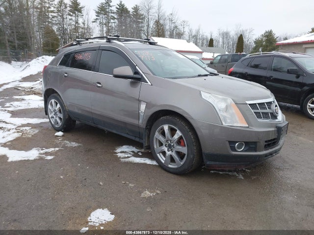 2011 CADILLAC SRX 3GYFNEEY0BS671875 Photo 0
