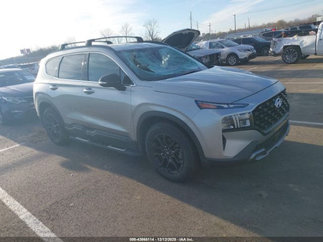 2023 HYUNDAI SANTA FE 5NMS64AJ4PH501229