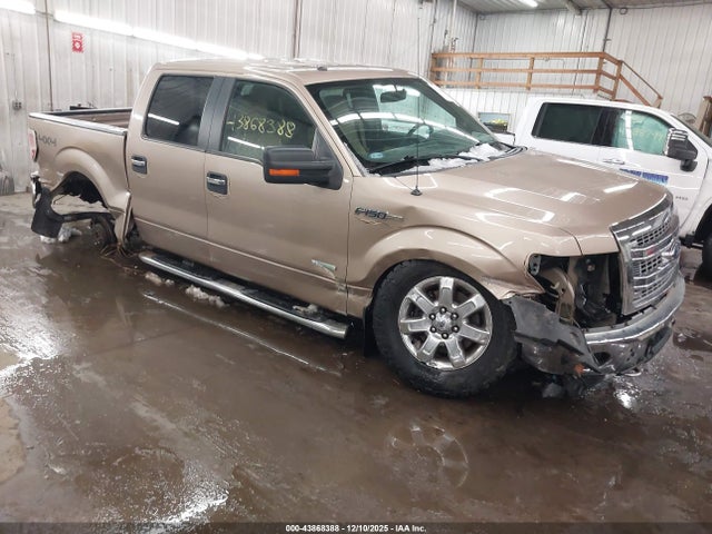 2013 FORD F-150 1FTFW1ET8DKG10353