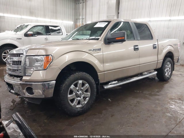 2013 FORD F-150 1FTFW1ET8DKG10353 Photo 1