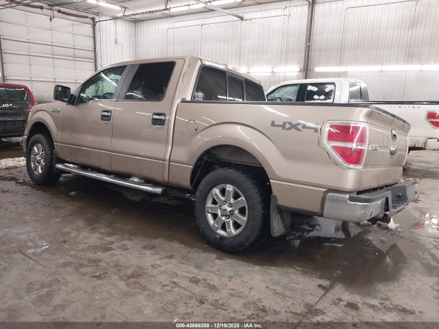 2013 FORD F-150 1FTFW1ET8DKG10353 Photo 2
