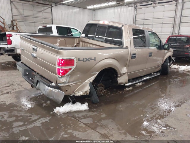 2013 FORD F-150 1FTFW1ET8DKG10353 Photo 3
