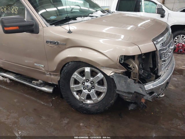 2013 FORD F-150 1FTFW1ET8DKG10353 Photo 5