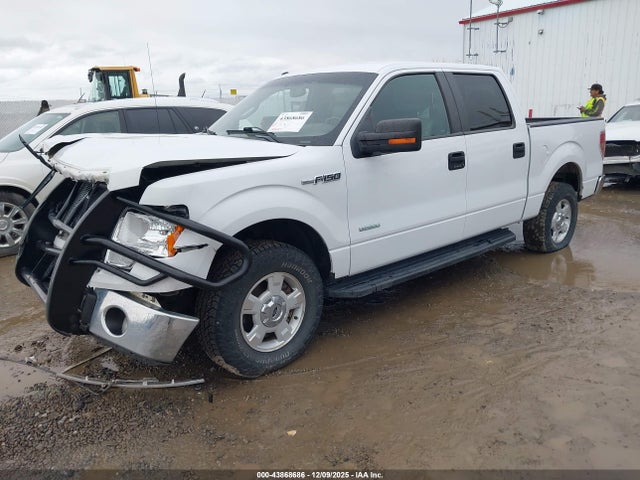 1FTFW1ET1EKF30667 Ford F-150 Xlt