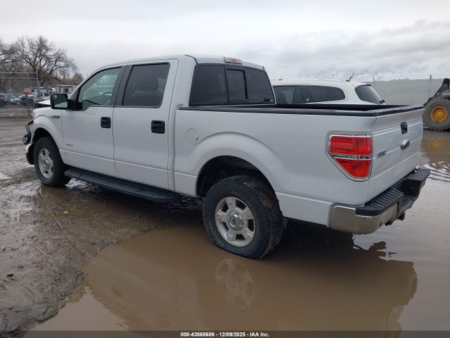 1FTFW1ET1EKF30667 Ford F-150 Xlt